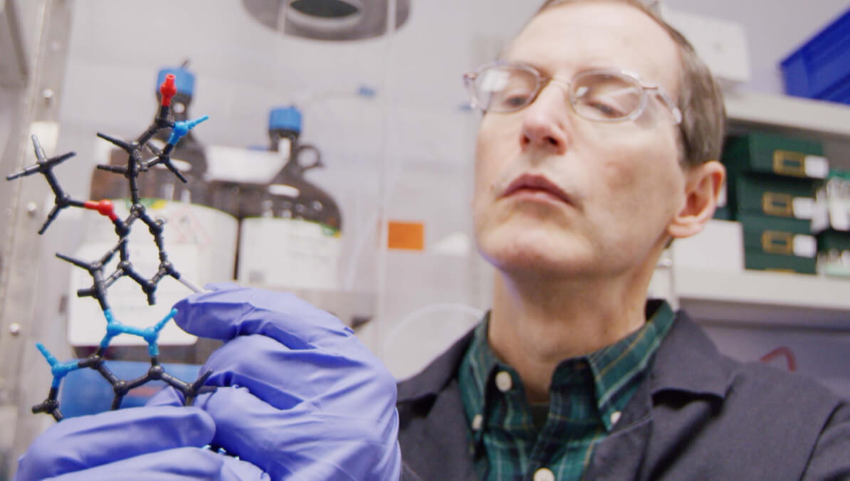 Scientist looking at a molecule model